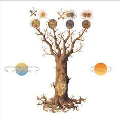 John Zorn - Transmigration Of The Magus (CD)