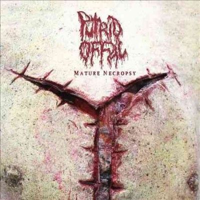 Putrid Offal - Mature Necropsy (CD)