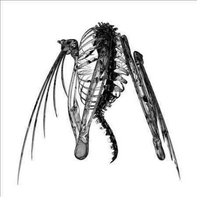 Lotic - Heterocetera (Vinyl)