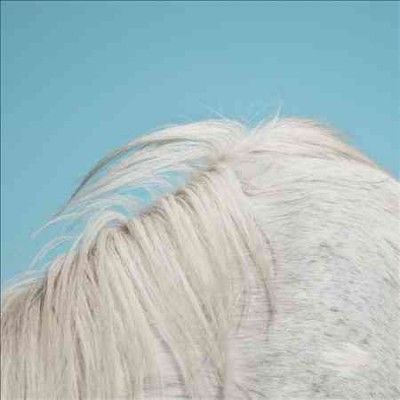 Widowspeak - All Yours (Vinyl)