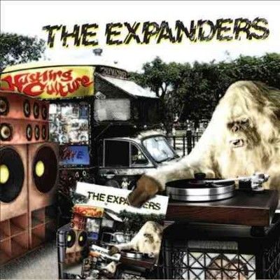 Expanders - Hustling Culture (Vinyl)