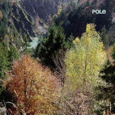Pole - Wald (Vinyl)