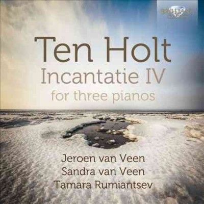 Jeroen Van Veen - Ten Holt: Incantatie Iv (CD)