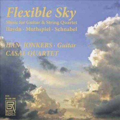 Han Jonkers - Flexible Sky: Music For Guitar And Str (CD)