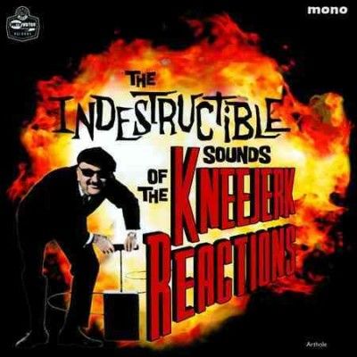 The Indestructible Sounds of the Kneejerk Reactions (CD / Album)