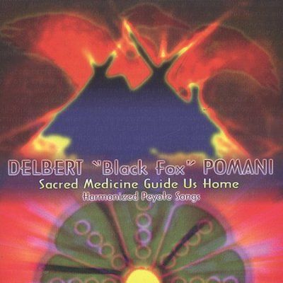 Sacred Medicine Guide Us Home - (Import CD)