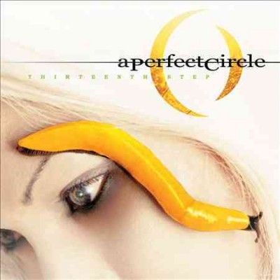 Perfect Circle - Thirteenth Step (Vinyl)