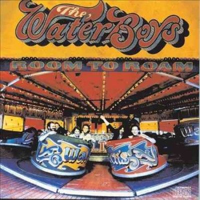Waterboys - Room To Roam (Vinyl)