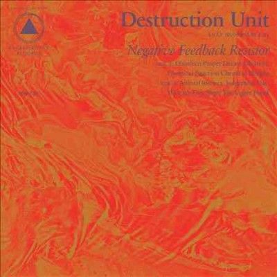 Destruction Unit - Negative Feedback Resistor (Vinyl)