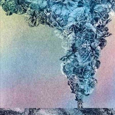 Carnation - (Import Vinyl Record)