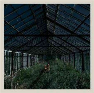 Foxing - Dealer (Vinyl)