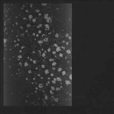 Poverty (Vinyl / 12" Album)