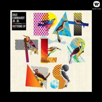 Dale Earnhardt Jr. J - Patterns (Vinyl)