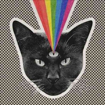 Never Shout Never - Black Cat (Vinyl)