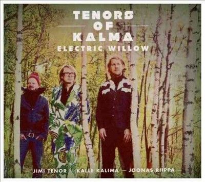Jimi Tenor - Tenors Of Kalma: Electric Willow (CD)