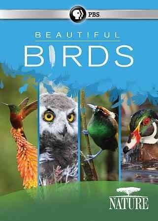 Nature: Beautiful Birds (DVD)