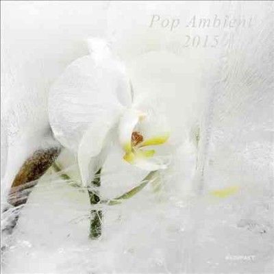Various - Pop Ambient 2015 (CD)
