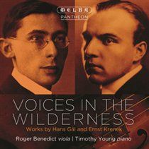 Voices in the Wilderness (CD / Album)