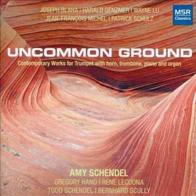 Amy Schendel - Uncommon Ground (CD)