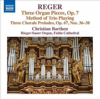Christian Barthen - Reger: Organ Works Vol 16 (CD)