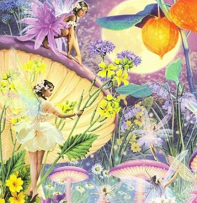 Faerie Card 1 - (Import CD)