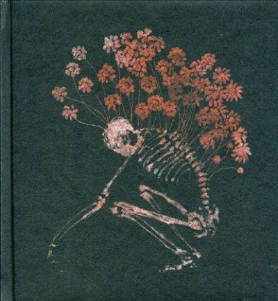 Tenhi - Folk Aesthetic: 1996 - 2006 (CD)