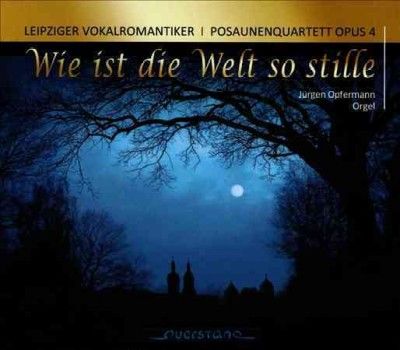 Wie Ist Die Welt So Stille (CD / Album)