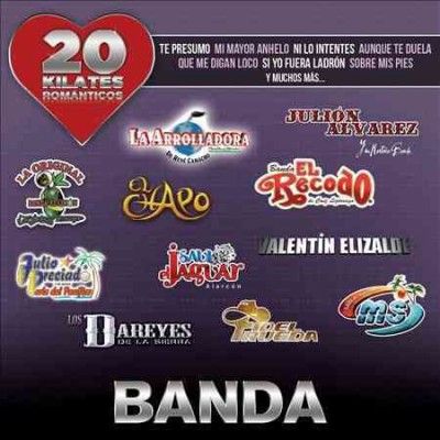 Various - 20 Kilates Romanticos Banda (CD)