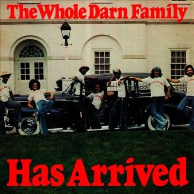 Whole Darn Family - Has Arrived (Vinyl)