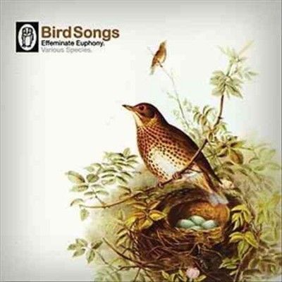 Various - Bird Songs (Vinyl)