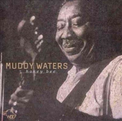 Muddy Waters - Sail On (Vinyl)