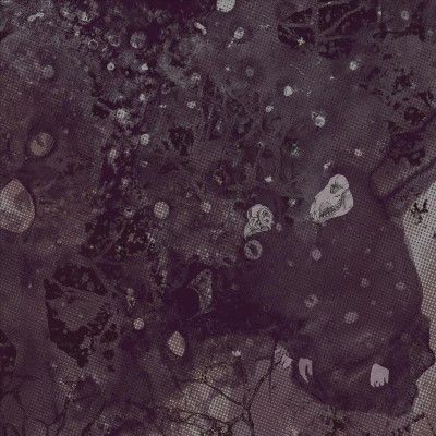 Pinkish Black - Razed To The Ground (Vinyl)