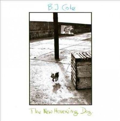 The New Hovering Dog (Vinyl / 12" Album)