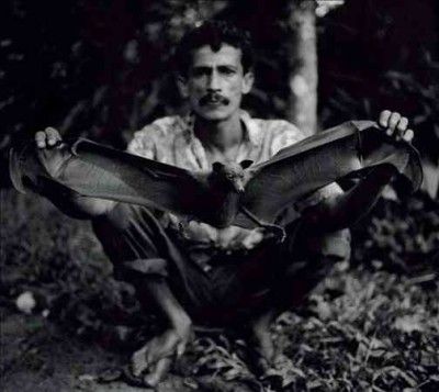 Fornalha - (Import Vinyl Record)