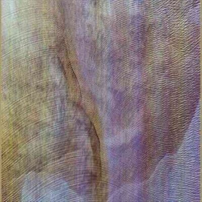 Akron Family - Sub Verses (Vinyl)