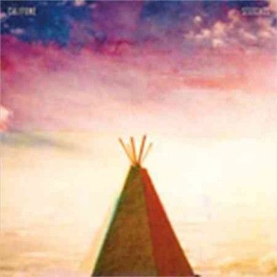 Califone - Stitches (Vinyl)