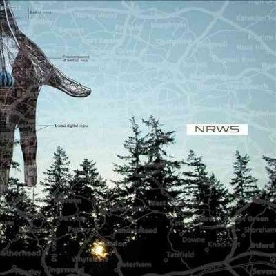 Narrows - New Distances (Vinyl)