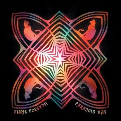 Chris Forsyth - Paranoid Cat (Vinyl)