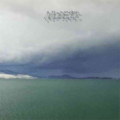 Modest Mouse - Fruit That Ate Itself (Vinyl)
