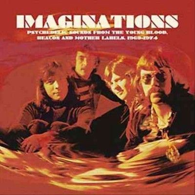 Various - Imaginations: Psychedelic Sounds From (Vinyl)