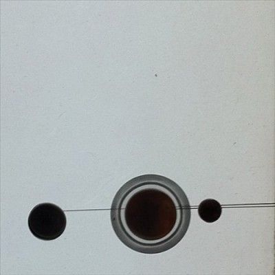 Alessandro Cortini - Forse 2 (Vinyl)