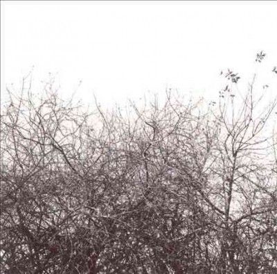 Simon Joyner - Lost With The Lights On (Vinyl)