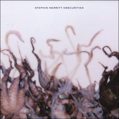 Stephin Merritt - Obscurities (Vinyl)