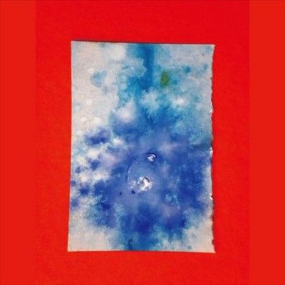 Carlos Nino - Aquariusssssss (Vinyl)