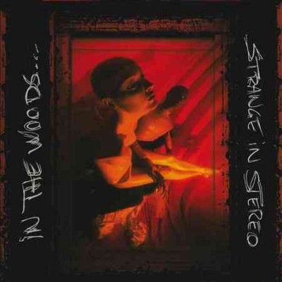 In The Woods - Stranger In Stereo (Vinyl)