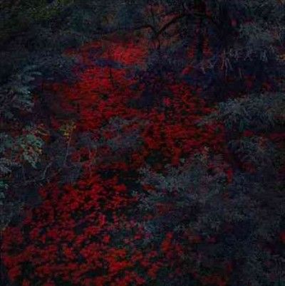 Alex Cobb - Marigold And Cable (Vinyl)