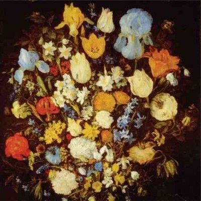 Young Moon - Navigated Like The Swan (Vinyl)