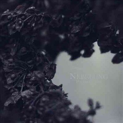 Nebelung - Palingenesis (Vinyl)