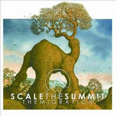 Scale The Summit - Migration (Vinyl)