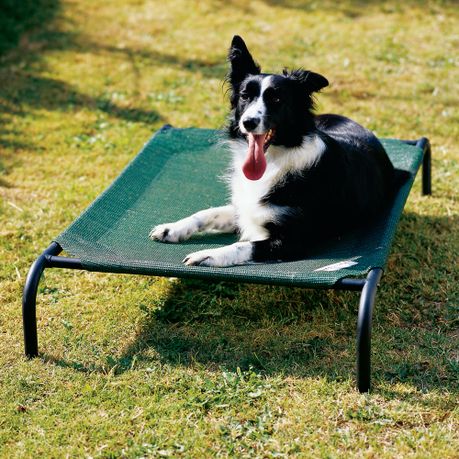 coolaroo dog bed sizes